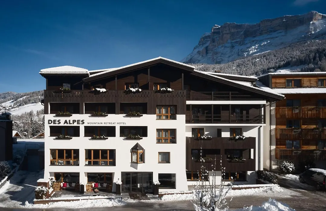Hotel Des Alpes-1